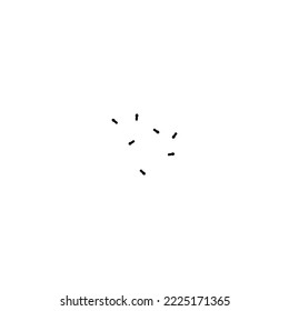 Ants crawl on a white background