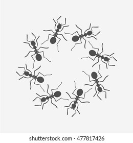 Ants Crawling In The Circle