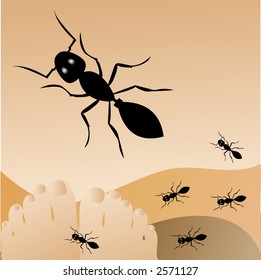 ants crawling on feet vector