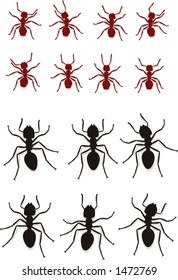 Ants in different poses