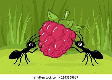 ants drag raspberries to an anthill in the forest, in the garden. Vector drawn illustration in children's cartoon style.