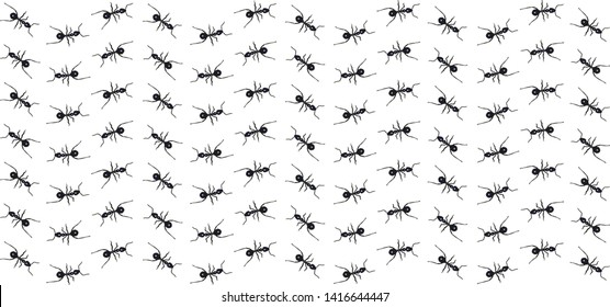 Ants following the path on white background.