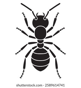 Ants Icon Flat Graphic Design
