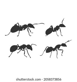 ants images silhouette vector design