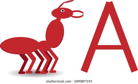 Ants and letters