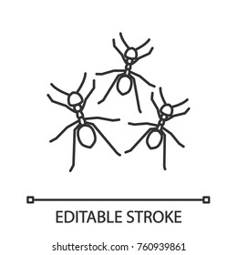 Ants linear icon. Thin line illustration. Contour symbol. Vector isolated outline drawing. Editable stroke