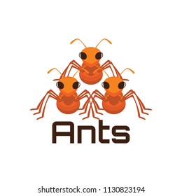 ants logo, vector illustration