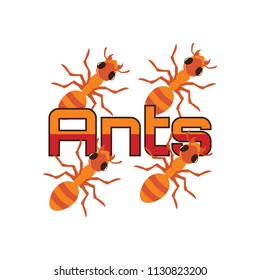 ants logo, vector illustration