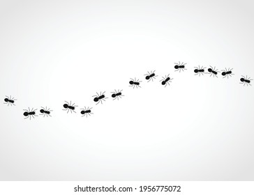 Ants marching on one direction. Vector illustration of black ants walking in line.