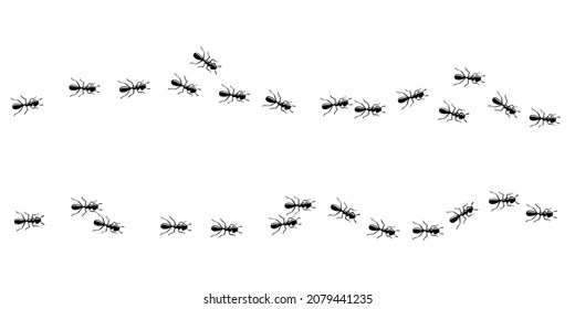 Hormigas marchando por el sendero de la casa. La hormiga está aislada de fondo blanco. Ilustración del vector