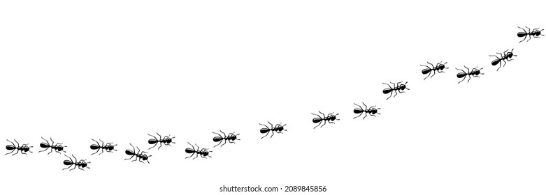 Ants marching in trail searching food. Ant path isolated in white background. Vector illustration