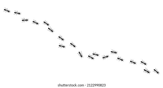 Ameisen, die auf dem Weg nach Essen marschieren. Arbeitspfad einzeln auf weißem Hintergrund. Vektorgrafik
