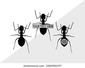 Ants Monogram Vector Illustration Silhouette