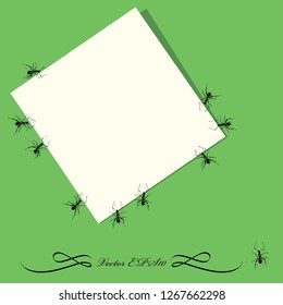 ants and notebook sheet