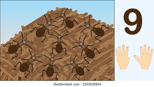 Ants. Number 9 (nine). Learning counting, mathematics. Education for kids. Vector illustration.