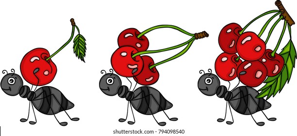 Ants on the march to deliver cherries