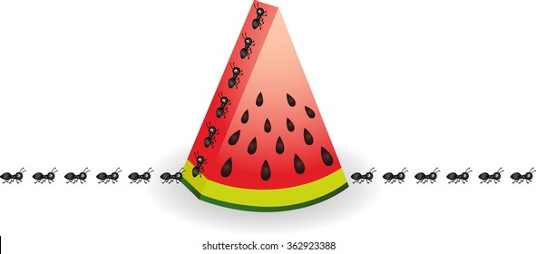 Ants on watermelon slice