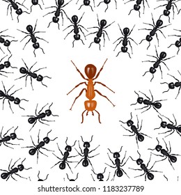 Ants organized in a group fight against a red ant. Concept of union is strength