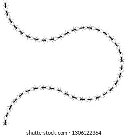 Ants path. Black line of worker ants isolated on white background. Vector illustration