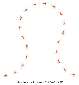 Ants path. Red line of worker ants isolated on white background. Vector illustration