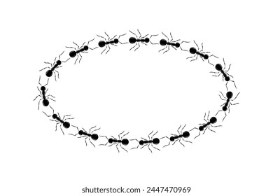 Hormigas carretera de forma elipse stop view diseño Ilustración vectorial aislado sobre fondo blanco. Curva de línea de sendero de hormigas bicho en fila. Ilustración de control de plagas o búsqueda de insectos.