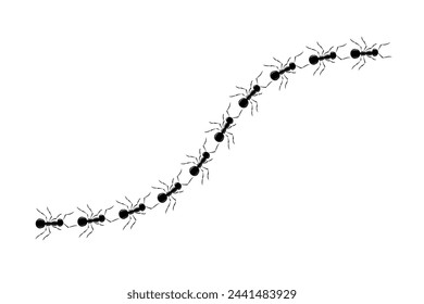 Ants road top view design vector illustration isolated on white background. Trail line curve of ants bug in row. Pest control or insect searching illustration.