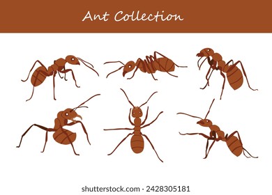 Ants set. Ants collection. Ants vector illustration.