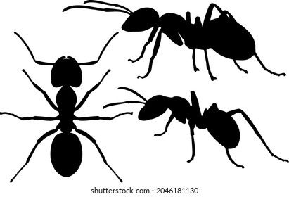 Ants in the set. Vector image.