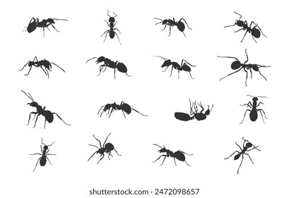 Ants silhouette,  Ant clipart, Ant silhouette set, Ants vector set, Ant crawling silhouette