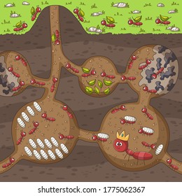 Ameisen in ihrem Nest. Handgezeichnete Vektorgrafik mit separaten Schichten.