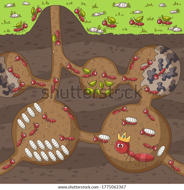 Ants in their nest. Hand drawn vector\
illustration with separate\
layers.