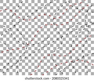 Las hormigas recorren diferentes direcciones sobre fondo transparente. Una línea de columnas de hormigas rojas y negras marchando. Diseñar elementos de naturaleza plana. Ilustración vectorial.