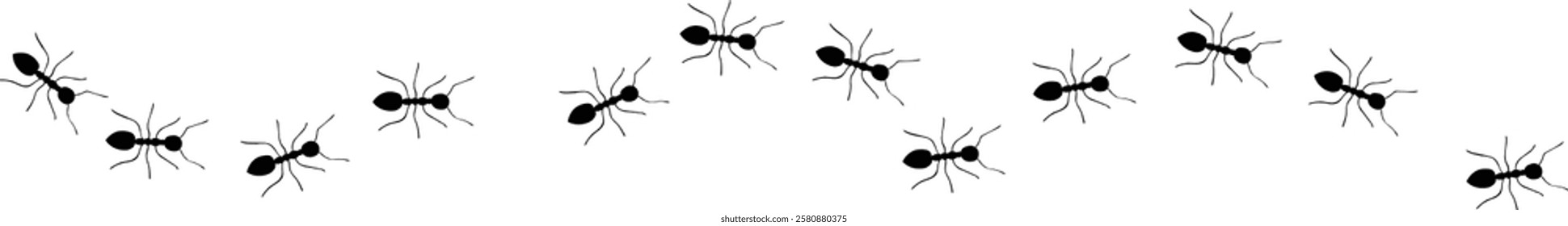 Ants trail lines of working ants on white background Groups of insect marching or walking down the road Insect colony control disinfection vector illustration