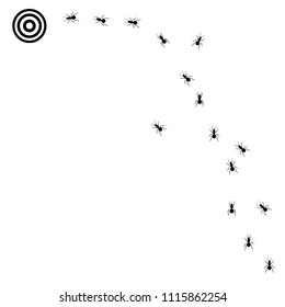 Ants trail vector