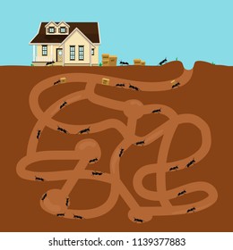 Ants in tunnels moving into a tiny house. Teamwork concept. Flat design vector illustration.