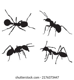 ants vector eps format scalable