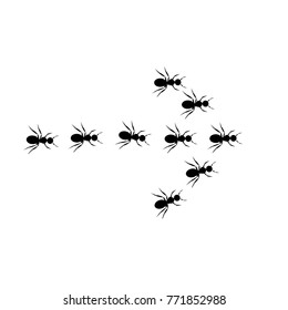 Ants walk in an arrow-vector