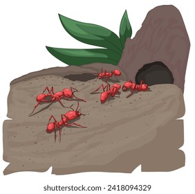 Ants walking towards anthill illustration