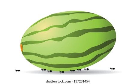 Ants with watermelon. EPS 10 vector, grouped for easy editing. No open shapes or paths.