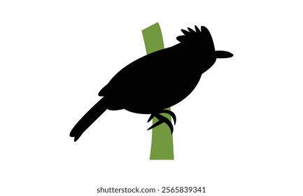 Antshrike Bird Silhouette Design  And Vector Illustration. 