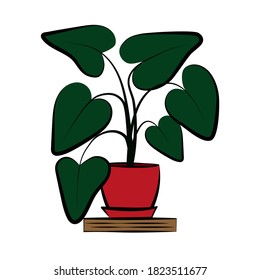 Anturium plant vector illustration in red pot on a shelf on white background