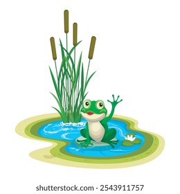 Anuran in pond. Cartoon green frog sitting on stone in a pool isolated vector illustration