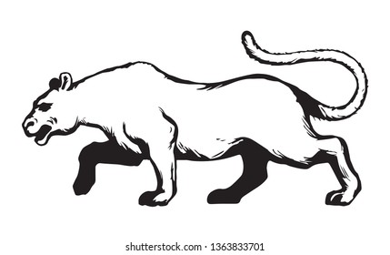 Anxiously powerful pretty young big alert leo sneak fierce looking for prey on white. Freehand outline black ink hand drawn raubkatze logo sketchy in art scribble cartoon graphic style pen on paper