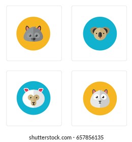 Any Animal Head
