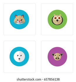 Any Animal Head