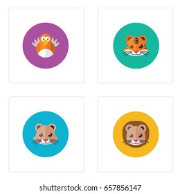 Any Animal Head