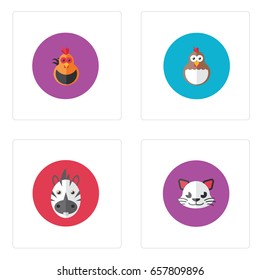 Any cute animal