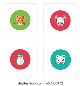 Any cute animal head, lion, coe and cheetah