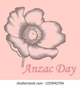 Anzac day 25th of April remembrance on pink background. Hand drawn poppy flower with red text below. engraving . vector illustration. lettering.