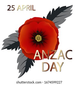 Anzac day background with red abstract poppies. Red poppies Isolated on white background. Remembrance Day vector illustration. Design element for poster, banner, web design